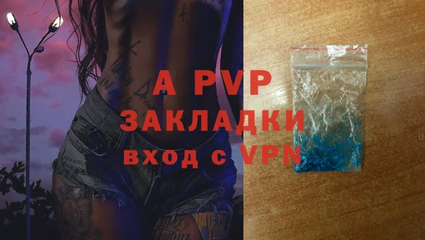 мяу мяу кристалл Богданович