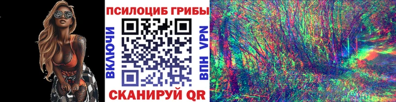 кракен   Сковородино  Псилоцибиновые грибы мицелий  купить закладку 